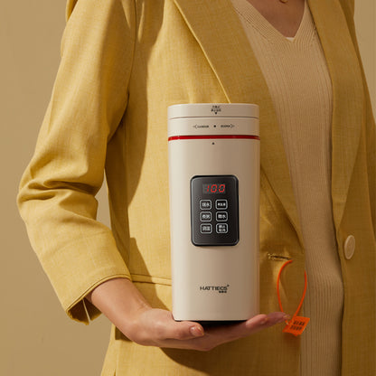 Mini Portable Electric Heating Kettle